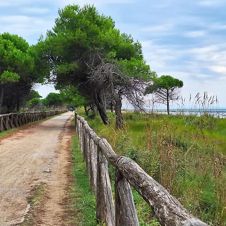 Modern Beachside Flat - Beahost Bibione